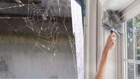 जर तुमच्या घरात कोळ्याचे जाळे वारंवार तयार होत असेल तर दुर्लक्ष नक्कीच