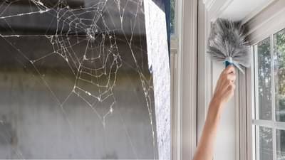जर तुमच्या घरात कोळ्याचे जाळे वारंवार तयार होत असेल तर दुर्लक्ष नक्कीच करू नका, असू शकतात हे संकेत