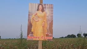 शेतकऱ्याने चक्क शेतात लावला सनी लियोनीचा फोटो, कारण वाचून हैराण व्हाल