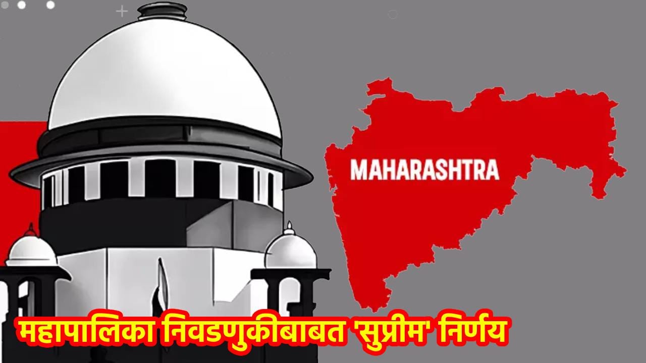 महापालिका निवडणुकीबाबत 'सुप्रीम' निर्णय; पण न्यायालयाने नेमकी इथं मारली मेख, वाचा A टू Z निकाल महापालिका निवडणुकीबाबत 'सुप्रीम' निर्णय; पण न्यायालयाने नेमकी इथं मारली मेख, वाचा A टू Z निकाल