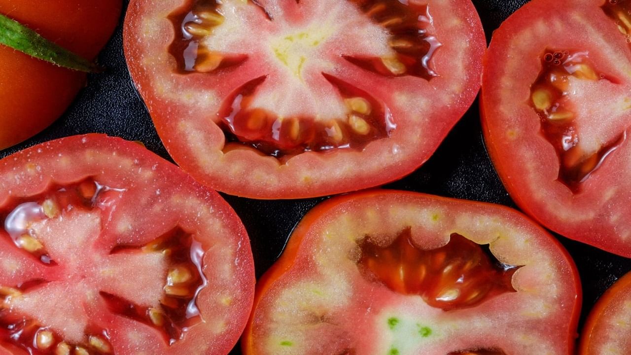 टोमॅटोच्या बियांमध्ये तंतुमय पदार्थ (फायबर) असतात, जे पचन सुधारतात व बद्धकोष्ठतेपासून आराम देतात. काही प्रमाणात ओमेगा 3 फॅटी अॅसिड्स असतात, जे हृदयाच्या आरोग्यासाठी उपयुक्त आहेत.