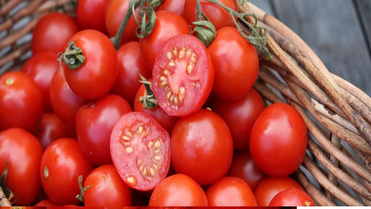 बियांतील जीवनसत्त्वे त्वचेला तजेला देतात आणि केस गळती कमी करतात. त्यामुळे अनेक जण फक्त टोमॅटो किंवा टोमॅटोचा सूप देखील पितात. पण काही समस्या असलेल्यांनी टोमॅटो खाणं टाळावं. 