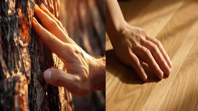 टच वुड म्हणत लाकडाला हात लावल्याने खरंच वाईट नजर लागत नाही का?