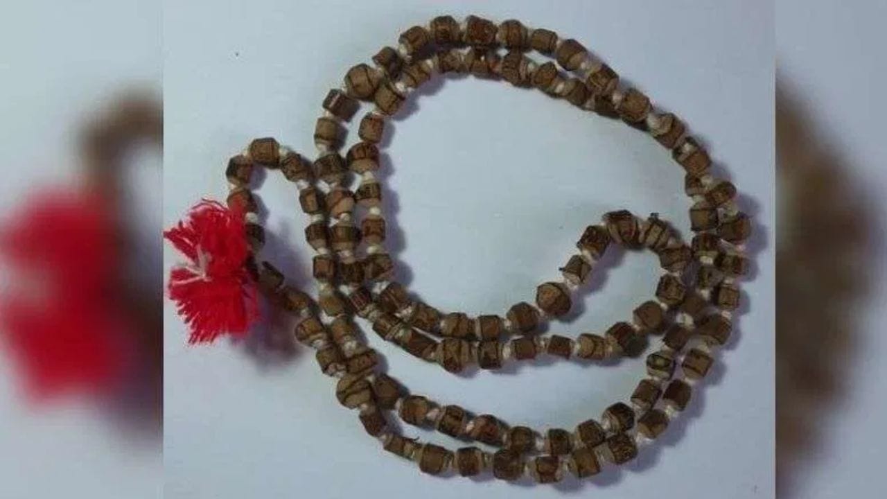 गळ्यात तुळशीची माळ घालताय? मग तुम्हाला हे नियम माहिती असायलाच हवेत