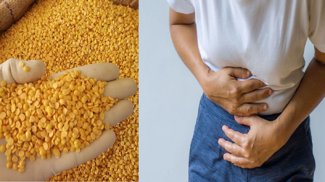 प्रथिने आणि आर्यन समृद्ध असलेली तूर डाळ या लोकांसाठी ठरू शकते धोकादायक प्रथिने आणि आर्यन समृद्ध असलेली तूर डाळ या लोकांसाठी ठरू शकते धोकादायक
