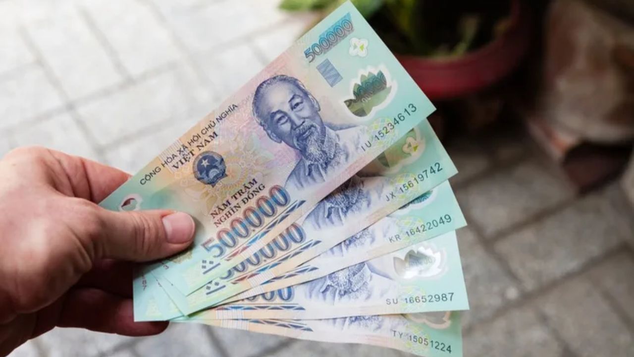 व्हिएतनाम हे त्याच्या नैसर्गिक सौंदर्यासाठी प्रसिद्ध आहे. येथील लांब समुद्रकिनारा, पर्वत आणि हिरवळ पाहण्यासाठी पर्यटक गर्दी करत असतात. या देशात शेतीही मोठ्या प्रमाणात केली जाते.