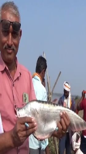 Washim : संगमेश्वर जलप्रकल्प तुडुंब, मासेमारी व्यवसायाला चालना.