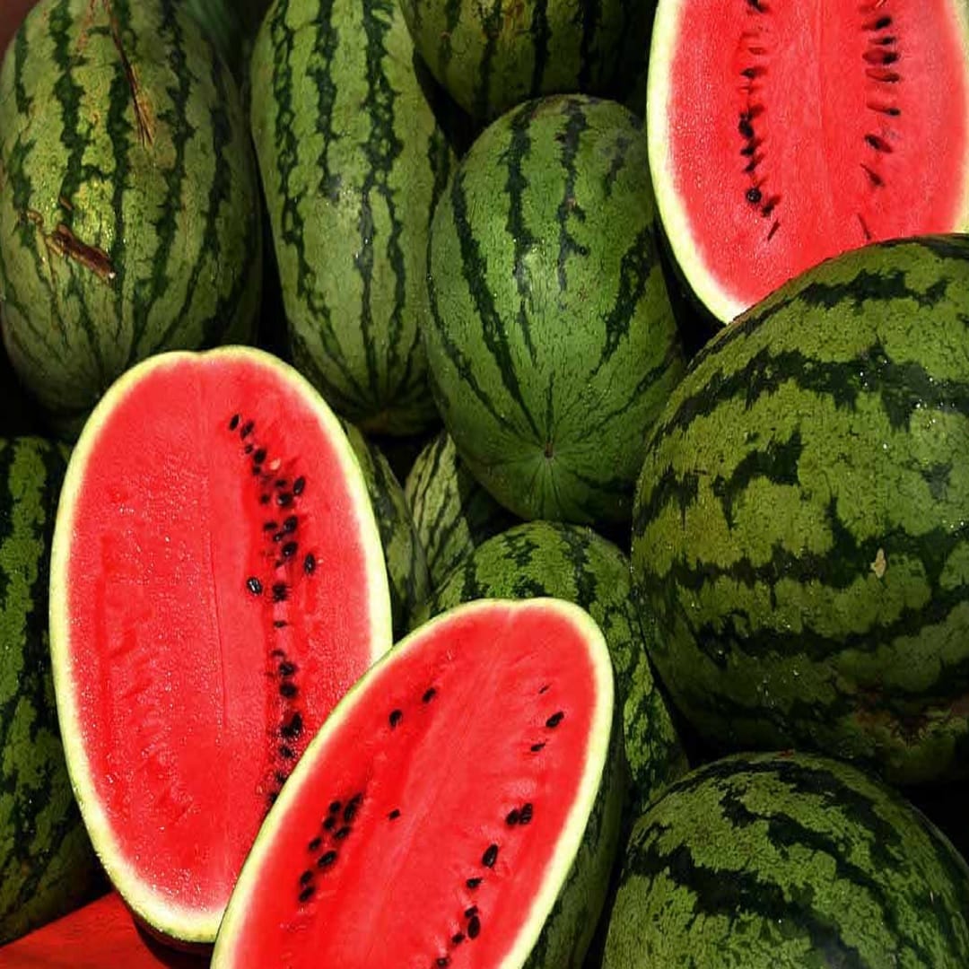 कलिंगड  : कलिंगड शरीराला थंडावा देते, म्हणून हिवाळ्यात ते खाल्ल्याने सर्दी किंवा घसा खवखव वाढू शकते. त्यात जास्त पाण्याचे प्रमाण थंड हवामानात शरीराचे तापमान कमी करते.