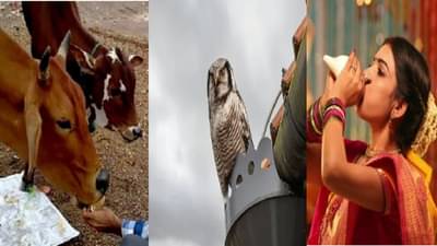 तुम्हालाही दिसतात का हे 5 संकेत? समजून घ्या की तुम्हाला लवकरच आर्थिक लाभ होणार आहे.