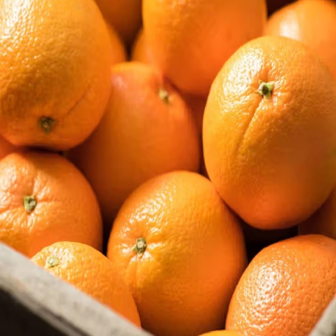  तसेच हिवाळ्यात रोज संत्री खाल्ली तर रक्तातील साखरेची पातळी कमी राहण्यास मदत होते. ब्लॉक झालेल्या धमन्या रोखण्यास मदत होऊ शकते. तसेच संत्र्यांमध्ये असलेले फायबर आणि नैसर्गिक एंजाइम पचन सुधारण्यास मदत करतात. 