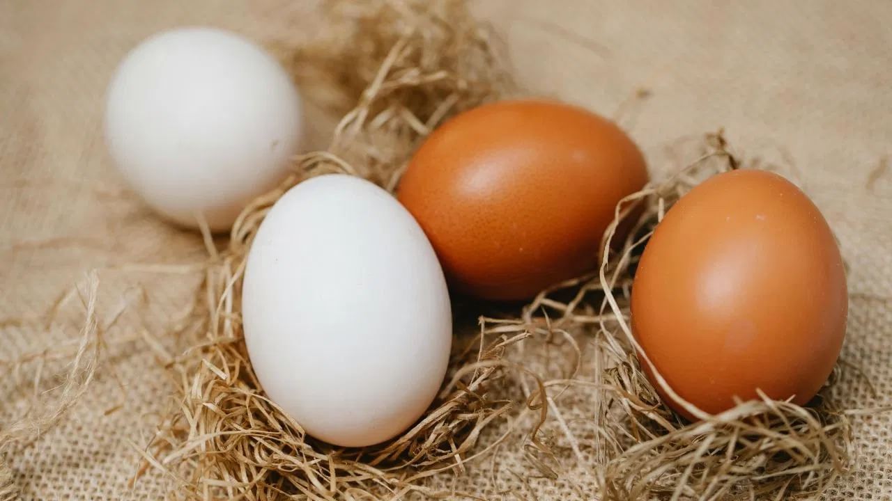  साधारणत: एक अंड्यात सुमारे 6 ग्रॅम प्रोटीन असते. ज्याचा अर्धा भाग पांढरा तर अर्धा भागात पिवळे बलक असते. परंतू या बलकात सुमारे 180-200 मिलीग्रॅम कोलेस्ट्रॉल असते. ज्यापासून अनेक लोक वाचण्याचा प्रयत्न करतात. 