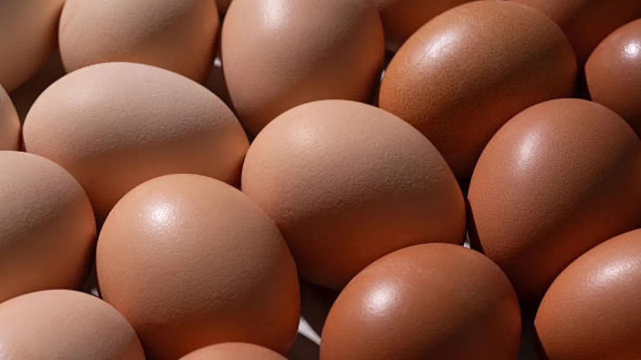  अंड्याच्या सफेद भागात प्रोटीनचे प्रमाण जास्त असते. आणि यात चरबीचे प्रमाण जवळपास नसते. तर अंड्याच्या पिवळ्या बलकात A, D, E, K आणि B12  सह आयर्न, झिंक, फॉस्फरस सारखे महत्वाचे खनिज आढळतात. 