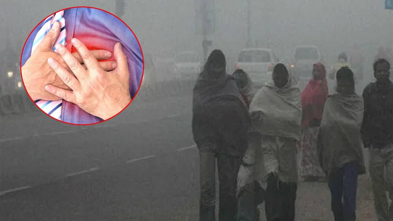 Heart Attack: हिवाळ्यात ही लक्षणे दिसली तर सावध व्हा! येऊ शकतो हार्ट अटॅक Heart Attack: हिवाळ्यात ही लक्षणे दिसली तर सावध व्हा! येऊ शकतो हार्ट अटॅक