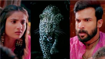 येड लागलं प्रेमाचं मालिकेत ऐन मेहंदीच्या कार्यक्रमात बिबट्याचा हल्ला अन्..