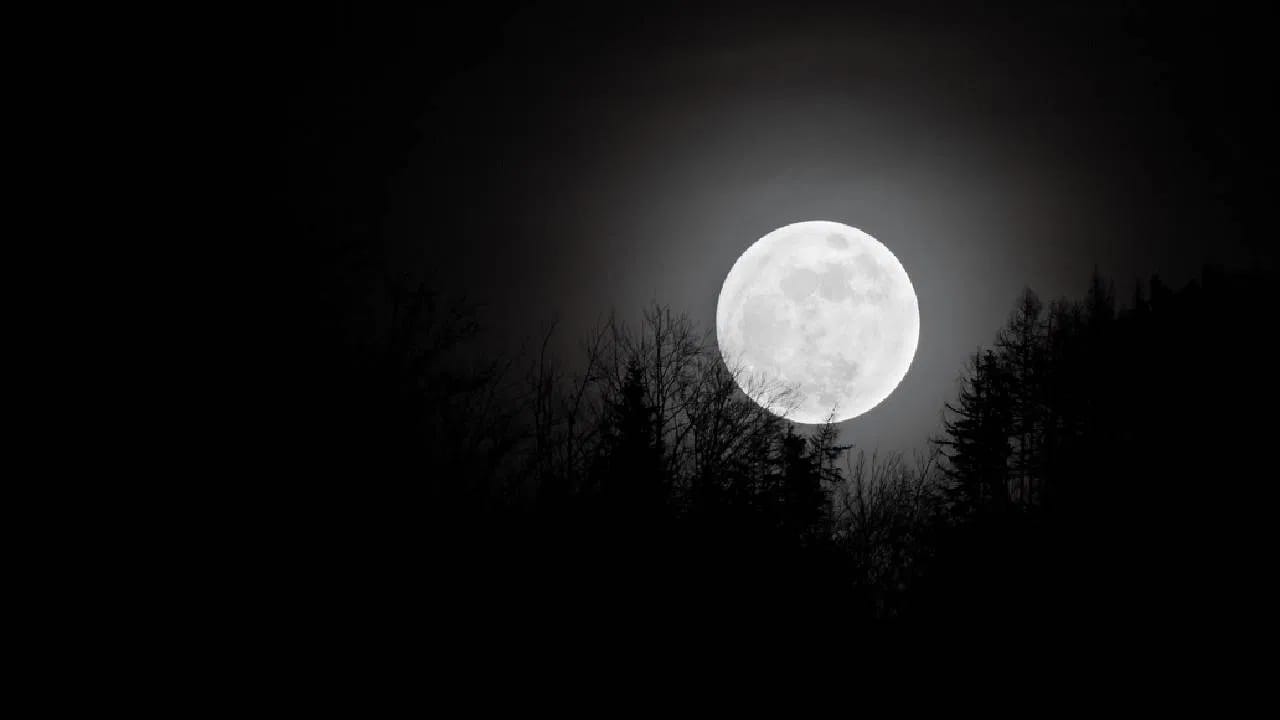 अमावस्येच्या रात्री ‘हे’ खास उपाय केल्यास पितृदोष होईल दूर….