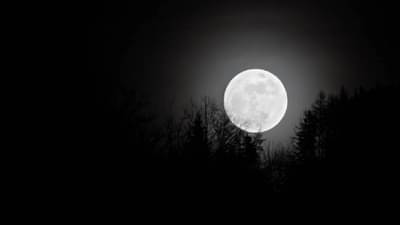 अमावस्येच्या रात्री हे खास उपाय केल्यास पितृदोष होईल दूर....