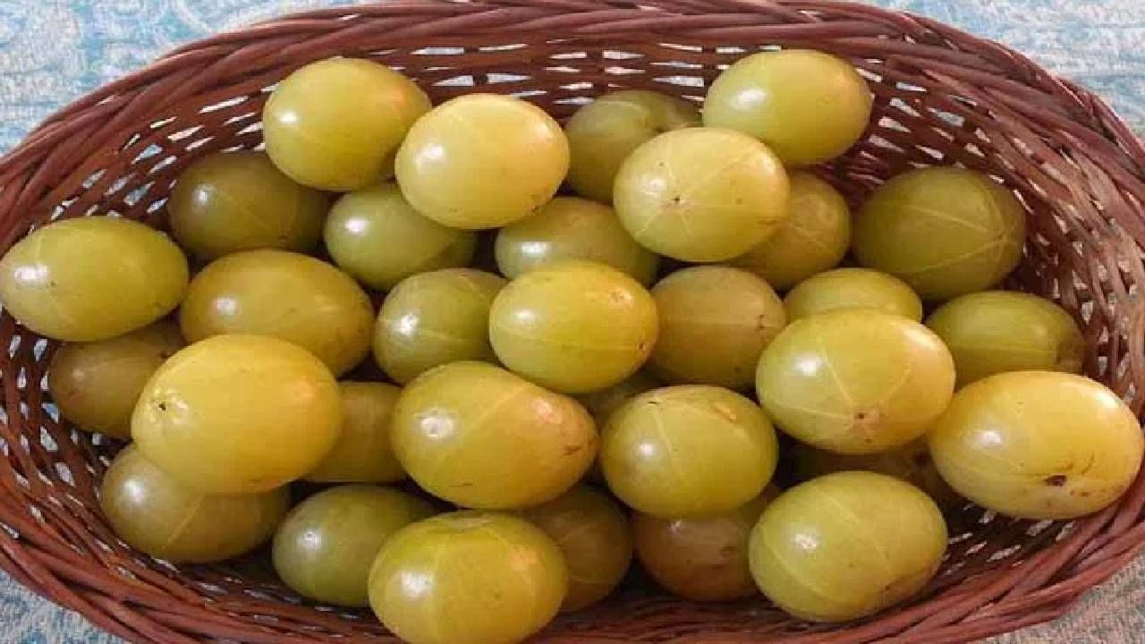 फक्त आवळ्याचा ज्यूसच नाही तर दररोज आवळा खाल्ल्यानेही अनेक समस्या दूर होण्यास मदत होते. यामुळे दररोज एका आवळ्याचे सेवन करा.