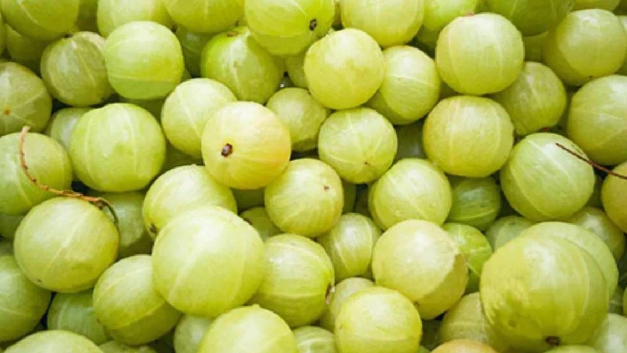 आवळा खाणे किंवा आवळ्याचा ज्यूस पिणे निरोग आरोग्यासाठी अत्यंत फायदेशीर ठरते. आवळ्याचा ज्यूस पिल्याने आरोग्याच्या अनेक समस्या दूर होतात हे आपण कायमच ऐकले असेल.