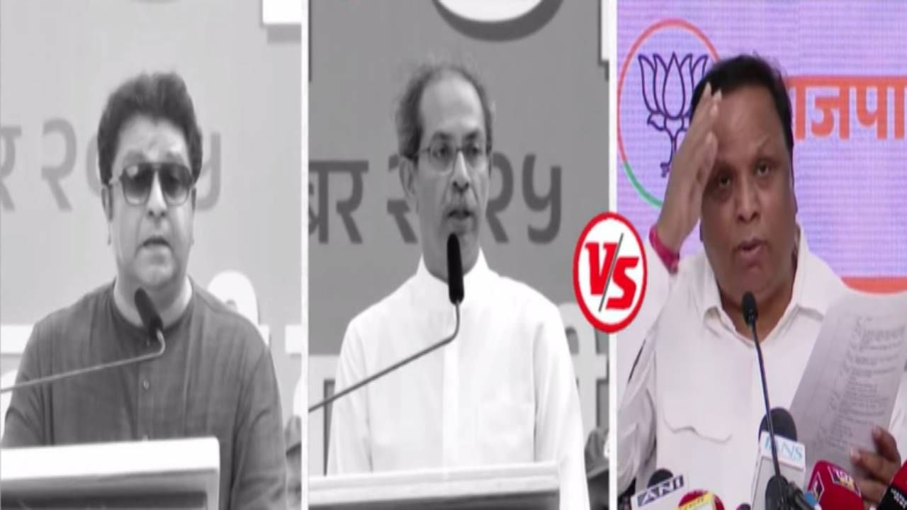 Ashish Shelar : हिंदू दुबार मतदारांना बडवा अन् मुस्लिम असेल तर... ठाकरें बंधूंच्या 'त्या' वक्तव्यावर शेलारांचं उत्तर Ashish Shelar : हिंदू दुबार मतदारांना बडवा अन् मुस्लिम असेल तर... ठाकरें बंधूंच्या 'त्या' वक्तव्यावर शेलारांचं उत्तर