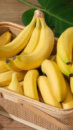 धुळे शिरपूर तालुक्यात केळी उत्पादक घरघर, भाव नसल्याने उभ्या पिकावर नांगर.