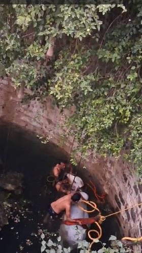 विहिरीत पडलेल्या बैलाची सुखरूप सुटका.