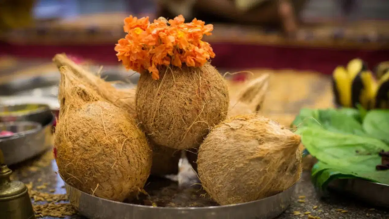 शुभकार्याच्या सुरुवातीला आणि धार्मिक प्रसंगी नारळ फोडतात हे तुम्हाला माहिती आहे, अनेकदा आपण मंदिरात जातो तेव्हाही नारळ फोडला जातो. यामागील कारण काय आहे हे आज आपण जाणून घेणार आहोत.