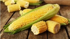 आहारात मक्काचा समावेश करा अन् चमत्कार पहा, आहेत फायदेच फायदे