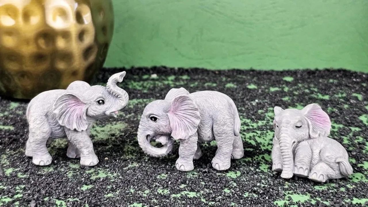 तुमच्या घराच्या मुख्य प्रवेशद्वारावर हत्तींची जोडी असणं खूप शुभ मानलं जातं. हे वैवाहिक आनंद, एकता आणि सुरक्षिततेचं प्रतीक आहे. असं म्हटलं जातं की, यामुळे नकारात्मक उर्जेचा प्रवेश होत नाही.