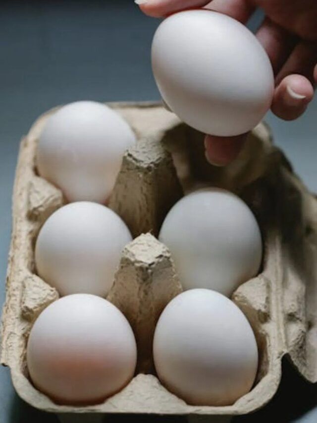 दररोज अंडी खालल्याने कोलेस्ट्रॉल वाढतं का?