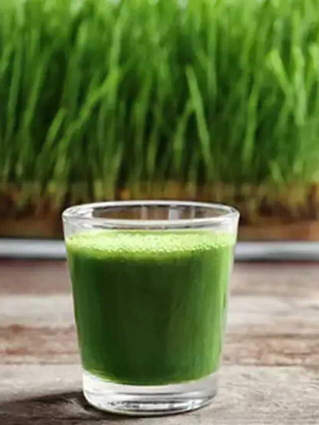 गव्हाकुंराचा रस पिण्याचे 10 मोठे फायदे, पाहा कोणते ?