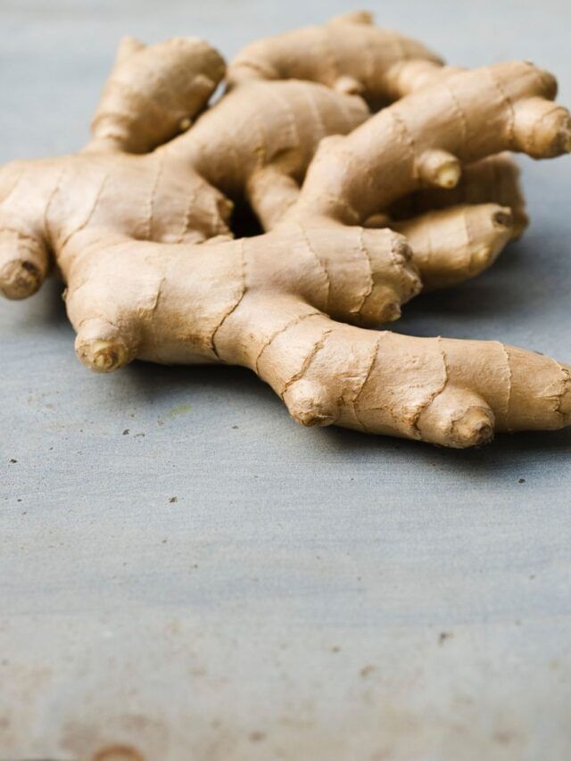 थंडीत आले चावून खाल्ल्याने काय होतात फायदे ?