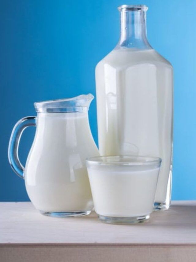 थंडीत दूधासोबत हा पदार्थ खाणे खूपच फायदेशीर, पाहा कोणता?