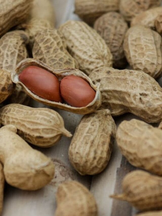 शेंगदाणे खाल्ल्यानंतर पाणी प्यावे की नाही?