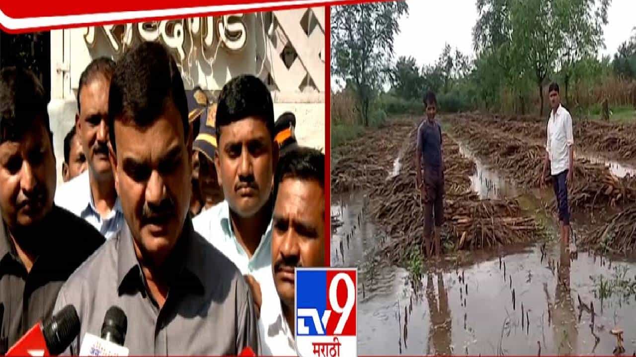 Dattatray Bharne : कृषीमंत्र्यांचा बाधित शेतकऱ्यांना दिलासा, येत्या 8 ते 10 दिवसांत... दत्तात्रय भरणेंनी काय दिली ग्वाही?