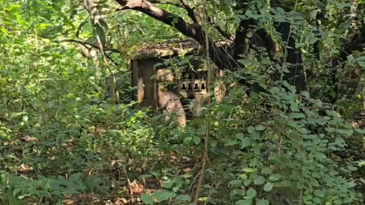 या मालमत्तांची विक्री पूर्णत्वास नेण्यासाठी यंत्रणांनी एक नवी रणनीती अवलंबली आहे. यावेळी सीलबंद पत्राद्वारे निविदा मागविण्यात आल्या आहेत. 