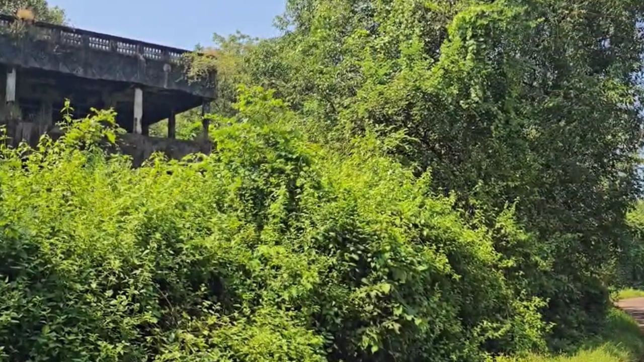 त्याच्या अनेक मालमत्तांचे लिलाव यशस्वी झाले आहेत. मात्र खेडमधील या विशिष्ट चार मालमत्तांना मात्र अपेक्षित प्रतिसाद मिळालेला नाही. त्यामुळे या मालमत्ता विकून २० लाख रुपये मिळवण्याचा निर्धार यंत्रणांनी केला आहे.