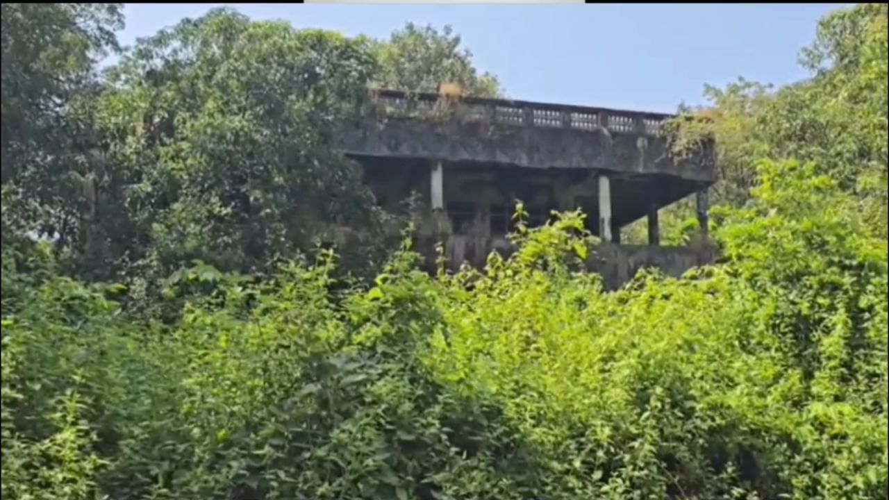 हे भूखंड तस्करी आणि परकीय चलन नियमन (मालमत्ता जप्त करणे) म्हणजेच ‘साफेमा’ (SAFEMA) कायद्यानुसार जप्त करण्यात आले आहेत.