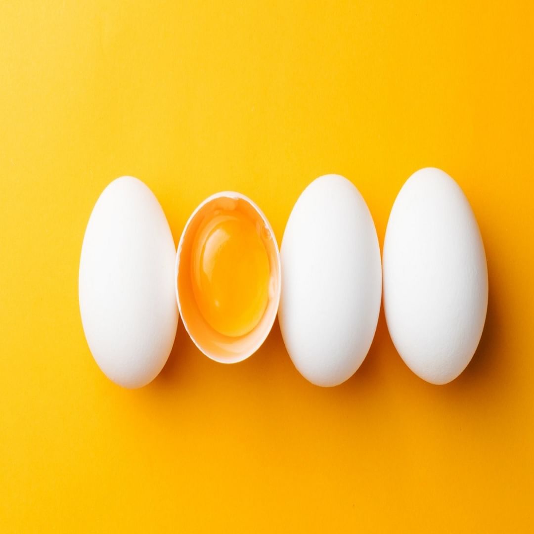 अंडी हा नाश्त्यातील सर्वात सामान्य आणि आवडता पर्याय मानला जातो. तुमच्या आहारात अंडी समाविष्ट करणे आणि ती संपूर्ण खाणे हा एक अतिशय आरोग्यदायी पर्याय आहे. तथापि, बरेच लोक संपूर्ण अंडी खात नाहीत. लोक अंड्यातील पिवळ्या भागाचे सेवन टाळतात कारण त्यात चरबी आणि कोलेस्टेरॉलचे प्रमाण जास्त असते. 