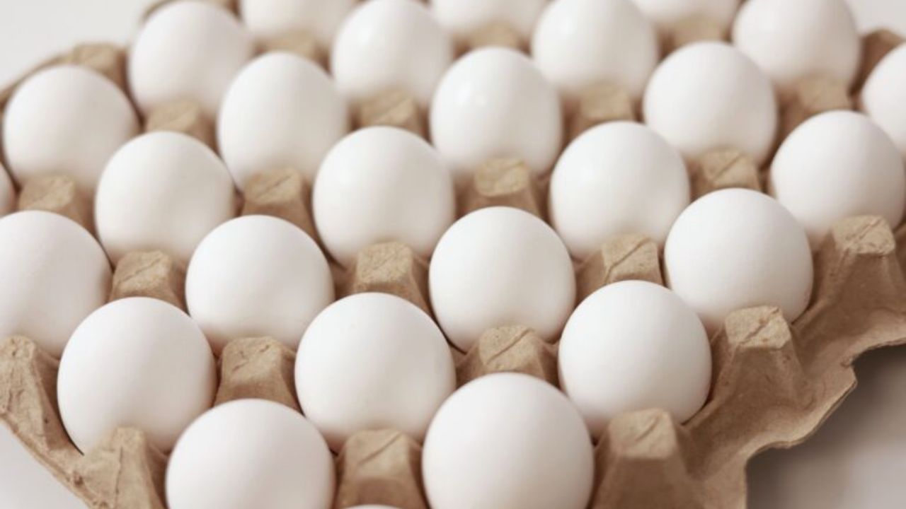 ( डिस्क्लेमर : या आर्टिकलमध्ये देण्यात आलेली माहिती व उपाय हे सामान्य ज्ञानावर आधारित आहेत. आमचा याला दुजोरा नाही. ते अवलंबण्यापूर्वी तज्ज्ञांचा सल्ला जरूर घ्यावा.)