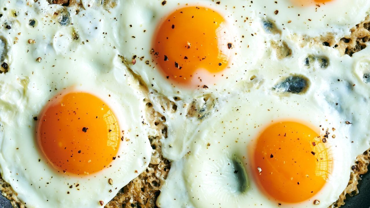 काही आरोग्य आणि पोषण तज्ज्ञ अंड्यांना उत्तम प्रतीच्या प्रथिनांचा स्रोत मानतात. ते शाकाहारी आहारासाठी ज्यांना प्रथिनांची कमतरता आहे त्यांच्यासाठी एक पर्याय म्हणून समावेश करण्याची शिफारस करतात. त्यामुळे शाकाहारी लोकांनी अंड्याचा पांढरा भाग खावा तर मांसाहारी लोक संपूर्ण अंडे खाऊ शकतात.