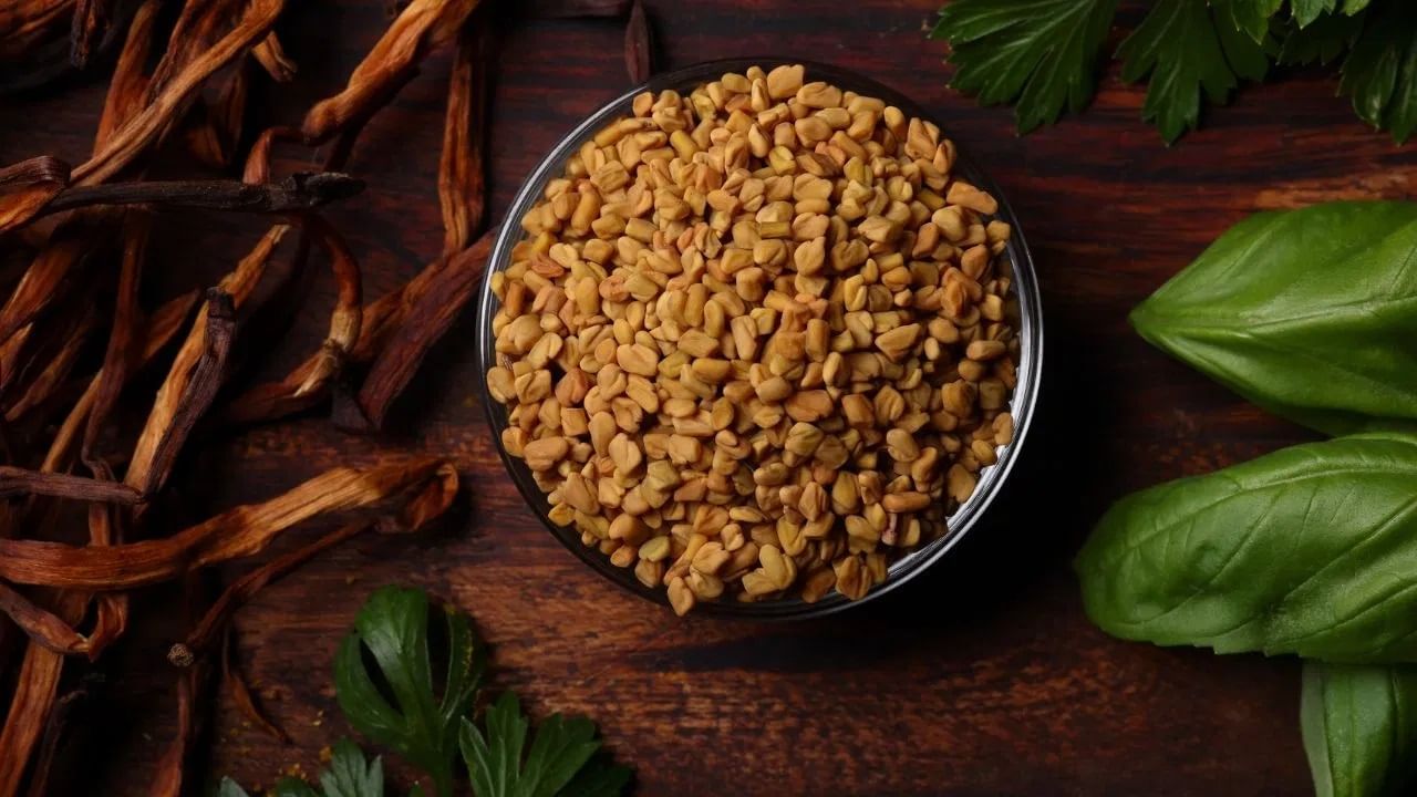 मेथीच्या बियांमध्ये आढळणारे विरघळणारे फायबर रक्तातील साखरेची पातळी स्थिर ठेवण्यास मदत करते. ते शरीराच्या इन्सुलिन संवेदनशीलतेचे नियमन करण्यास मदत करते, ज्यामुळे शरीराला चरबीऐवजी साखरेचे उर्जेमध्ये रूपांतर करणे सोपे होते.