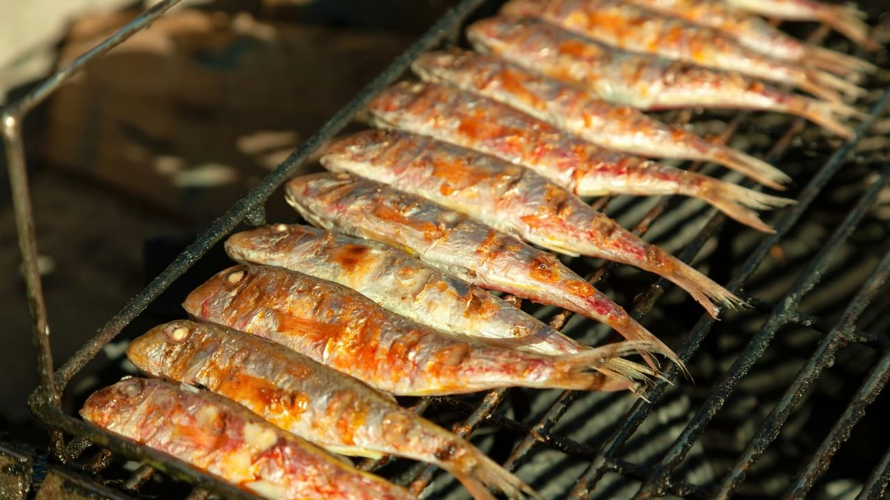 गेल्या काही दिवसांपासून होत असलेल्या बेसुमार मासेमारीमुळे माशांच्या विविध प्रजाती दुर्मिळ होत चालल्या आहेत. यावर उपाय म्हणून, लहान मासे वाचवण्यासाठी शासनाने माशांचे किमान आकारमान निश्चित करण्याचा महत्त्वपूर्ण निर्णय घेतला आहे.