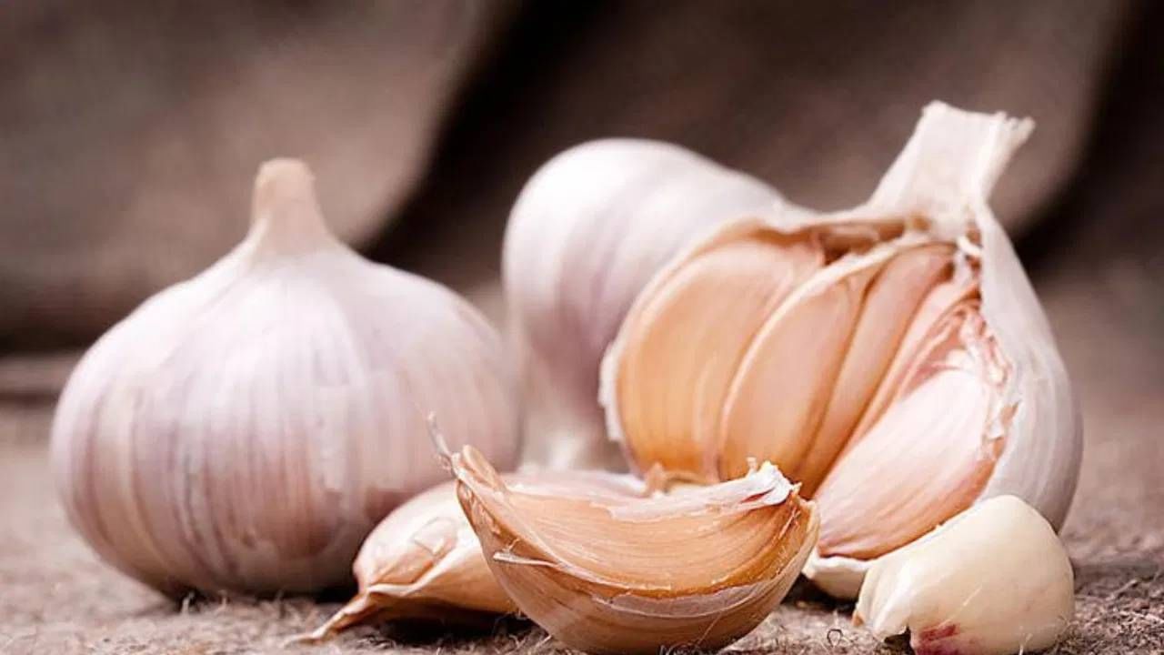 लसूण सोलण्याचा कंटाळा आलाय का? पूड कशी बनवायची? जाणून घ्या लसूण सोलण्याचा कंटाळा आलाय का? पूड कशी बनवायची? जाणून घ्या