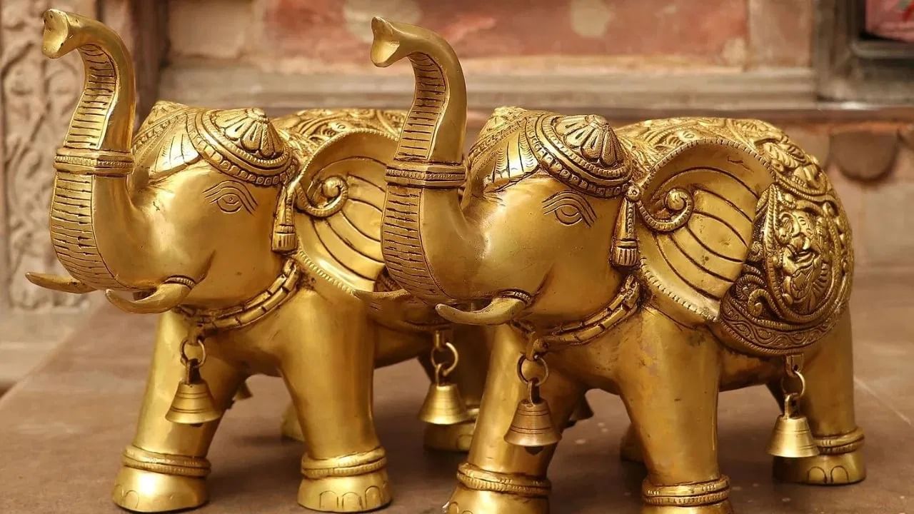 हत्तीच्या पिल्लासह असलेली हत्तीची मूर्ती कुटुंबाच्या वाढीचं, प्रेमाचं आणि मातृत्वाचं प्रतीक आहे. घराच्या पूर्व दिशेला लाकडी किंवा स्फटिकाचा हत्ती ठेवल्याने मानसिक शांती आणि सौंदर्य वाढतं.