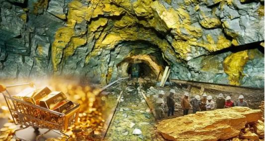 त्याला मिळालेल्या सोन्यच्या खजिन्याचे मूल्य तब्बल 8 लाख डॉलर असल्याचे बोलले जात आहे. स्विमिंग पुलच्या कामासाठी त्याने घराच्या परिसरात खोदकाम चालू केले होते. खोदकाम चालू असतानाच त्याला हा बहुमुल्य खजिना सापडला आहे.  