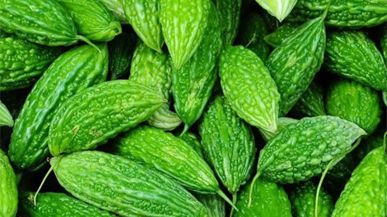 दररोज शक्यतो उपाशी पोटी कारल्याचा ज्यूसचे सेवन करावे. चार ते पाच घोट जरी तुम्ही कारल्याच्या ज्यूसचे सेवन केले तरीही ते फायदेशीर ठरते. 