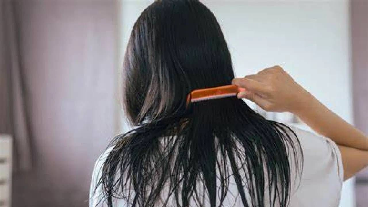 केसांची निरोगी वाढ होण्यासाठी वापरा ‘या’ आयुर्वेदिक टिप्स…