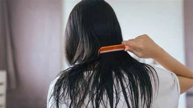 केसांची निरोगी वाढ होण्यासाठी वापरा या आयुर्वेदिक टिप्स...