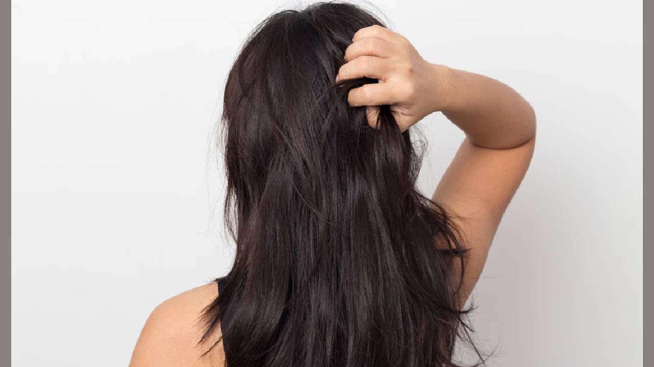 थंडीमध्ये कोंड्याच्या समस्या वाढल्यात? तज्ञांनी सांगितले हे काही घरगुती हेअर मास्क