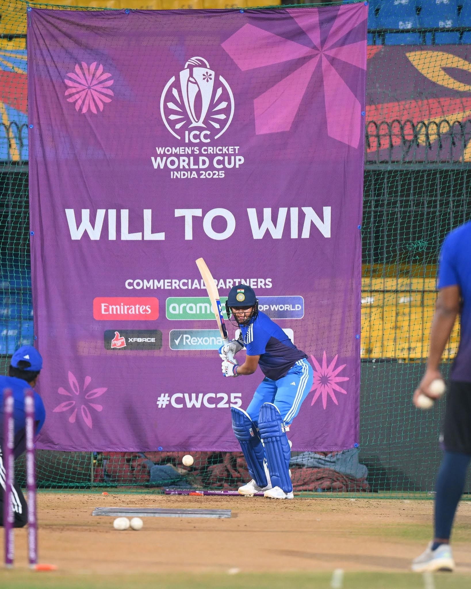 एका व्यावसायिक शूटसाठी ती सुमारे १०-१२ लाख रुपये घेते. ती HDFC Life, ITC, Boost, CEAT, PUMA, TATA Safari, Asian Paints यांसारख्या अनेक नामांकित ब्रँड्सची जाहिरात करते.